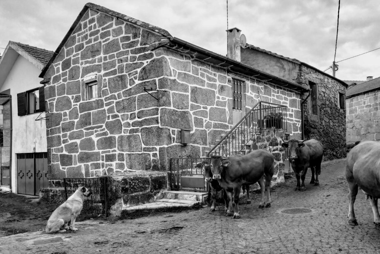 Pe Na Aldeia Βίλα Outeiro  Εξωτερικό φωτογραφία