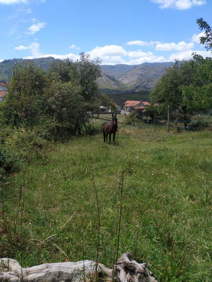 Pe Na Aldeia Βίλα Outeiro  Εξωτερικό φωτογραφία